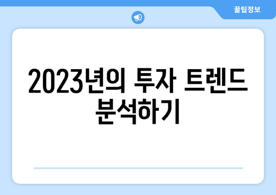 2023년: 새로운 투자와 연장