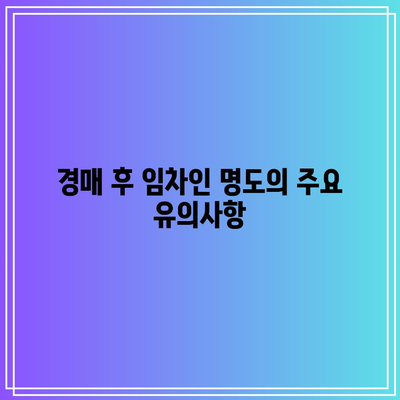 부동산 경매 임차인 명도