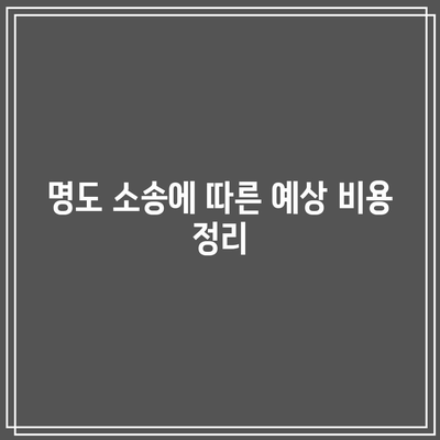 경매 임차인 명도 소송 및 집행 비용 주의 사항