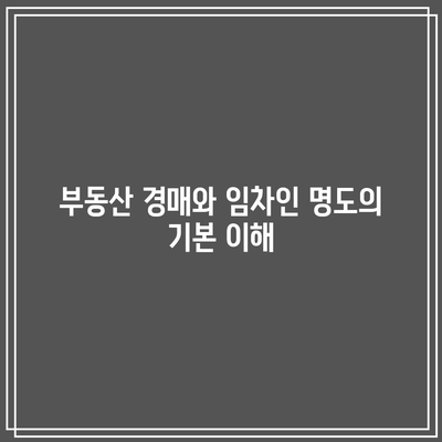 부동산 경매 임차인 명도