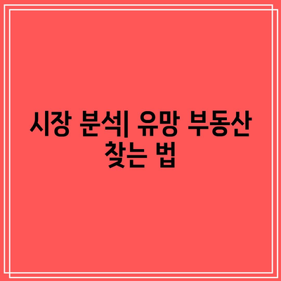 수익 확실한 실전 경매책 공개