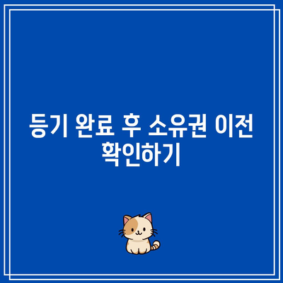 토지 경매 낙찰 후 독립적 등기 과정 가이드