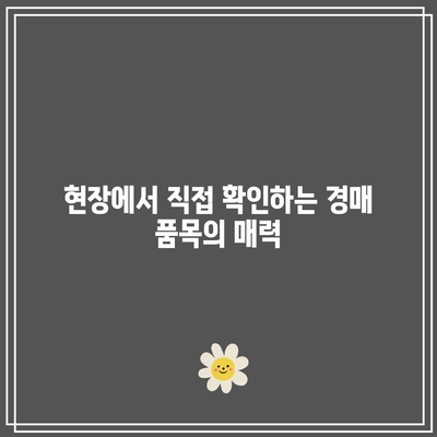 경매 현장 관람으로 숨겨진 기회를 찾아보세요