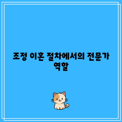 조정 이혼 위자료 산정: 실패 시 소송 위험