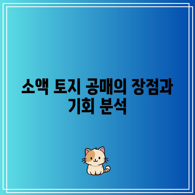 법원 부동산 경매: 소액 토지 공매를 통한 수익 실현